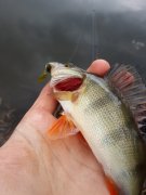 20140416_162733.jpg