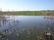 DSC02220.JPG
