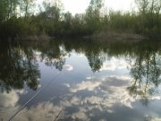 DSC09122.JPG