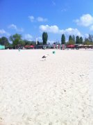 IMG_0437.JPG