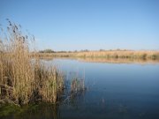 IMG_0146.JPG