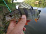 DSC02231.JPG