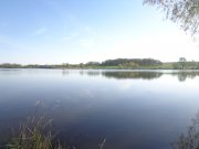 DSC02240.JPG