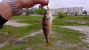 IMG_20140428_193619.jpg