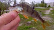 IMG_20140428_193648.jpg