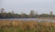 IMG_5819мал.JPG