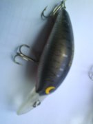 DSC03229.JPG