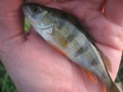 IMG_0006.JPG