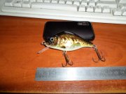 SAM_0038.JPG
