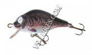 065 - Mirror Carp.jpg