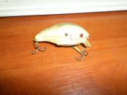 SAM_0054.JPG