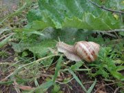 DSC02273.JPG