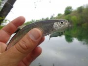 DSC02275.JPG