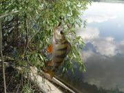 DSC09165.JPG