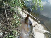 DSC09166.JPG