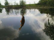 DSC09167.JPG