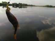 DSC09175.JPG