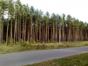 18102008015.jpg