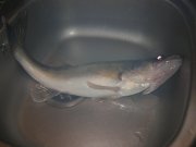 DSCN2332.JPG