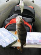 IMG_9388.JPG