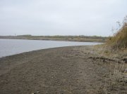 IMG_9416.jpg