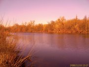 IMAGE_397.jpg
