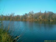 IMAGE_401.jpg