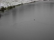 IMG_5679.jpg