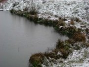 IMG_5680.jpg