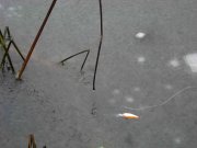 IMG_5682.jpg