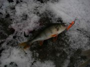 IMG_5684.jpg