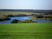 Синюха-Камышовоx.jpg