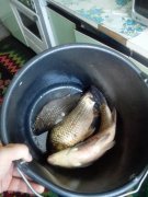 IMG_20140516_095314.jpg
