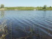P16-05-14_11.40.jpg