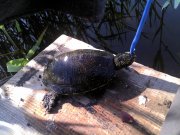 IMG_20140517_075841.jpg