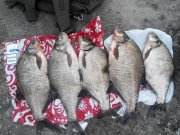 2014517183530.jpg