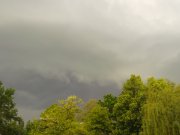DSCF0378.JPG
