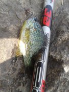 2014-05-19_10_04_42.jpg