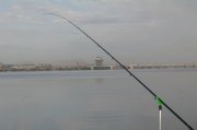 05243452.JPG