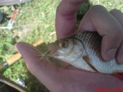 DSC01534.JPG