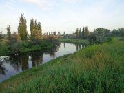 DSC02318.JPG