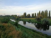 DSC02319.JPG