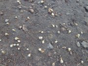 DSC02320.JPG
