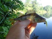 DSC02324.JPG