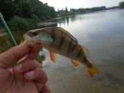 DSC02327.JPG