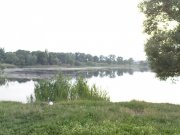 DSC09197.JPG
