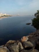 IMG_20140530_065621.jpg