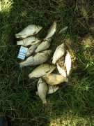 IMG_20140530_115323.jpg