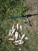 20140607_121114.jpg