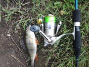 20140607_091947.jpg